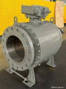 <strong>树立了行业服务的新标杆</strong>