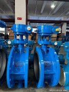 <strong>上海奇众阀门与苏州纽威</strong>