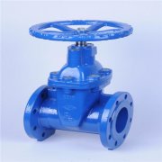 唯独中国始终沉默——没