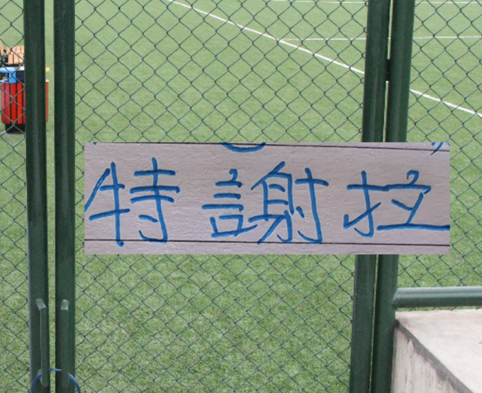 特谢拉伤情未愈申花战术调整引热议